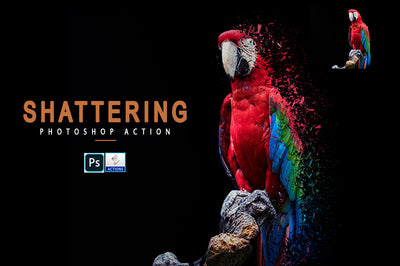 22-In-1 Picture Perfect Photoshop Actions Bundle-Add-Ons-Artixty