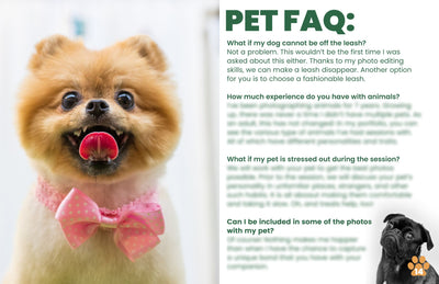 The Complete Pet Photography Collection-Learning-Artixty