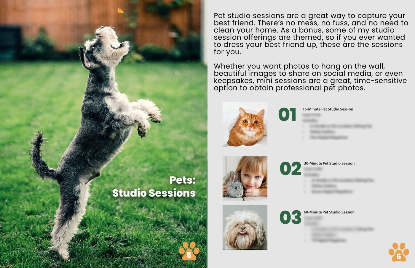 The Complete Pet Photography Collection-Learning-Artixty