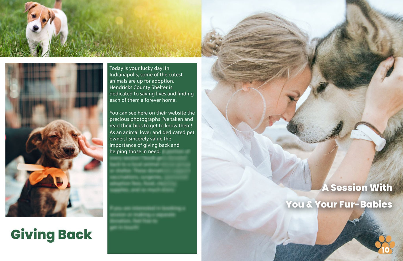 The Complete Pet Photography Collection-Learning-Artixty