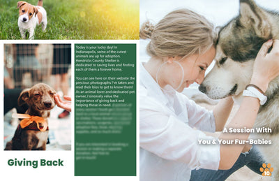 The Complete Pet Photography Collection-Learning-Artixty