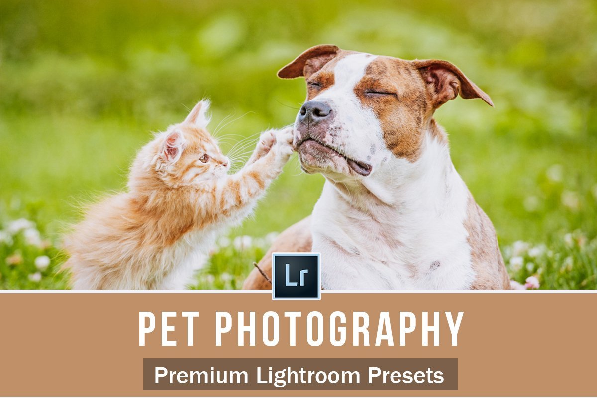 The Complete Pet Photography Collection-Learning-Artixty