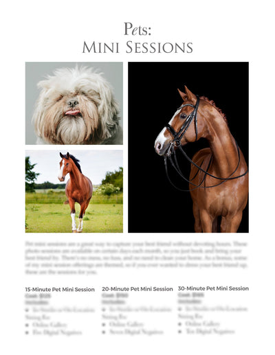The Complete Pet Photography Collection-Learning-Artixty