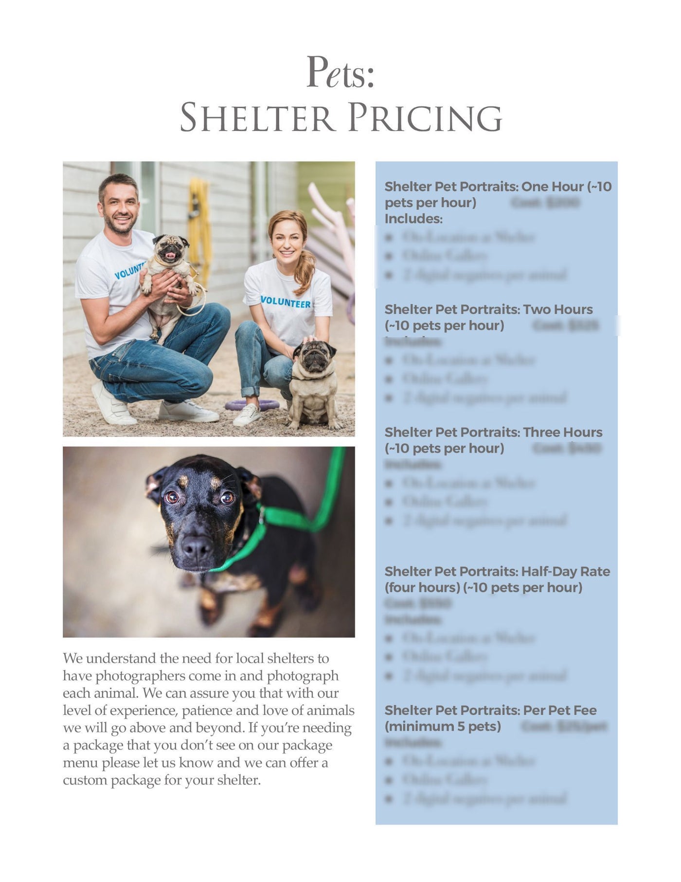 The Complete Pet Photography Collection-Learning-Artixty