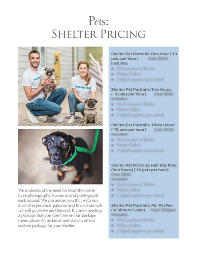 The Complete Pet Photography Collection-Learning-Artixty