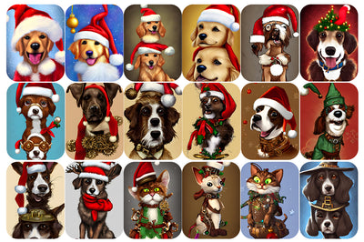 680+ Spectacular Stock Images Bundle - Artixty