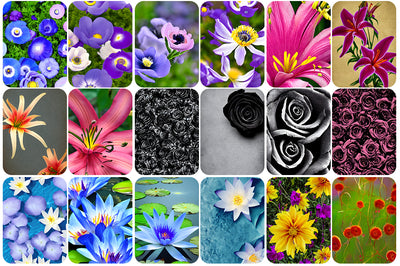 680+ Spectacular Stock Images Bundle - Artixty
