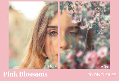 The Enchanting Photo Overlays Bundle - 1900+ Overlays-Graphics-Artixty