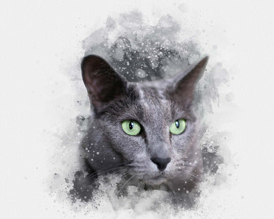 The Trendy Photo Effects Bundle - Artixty
