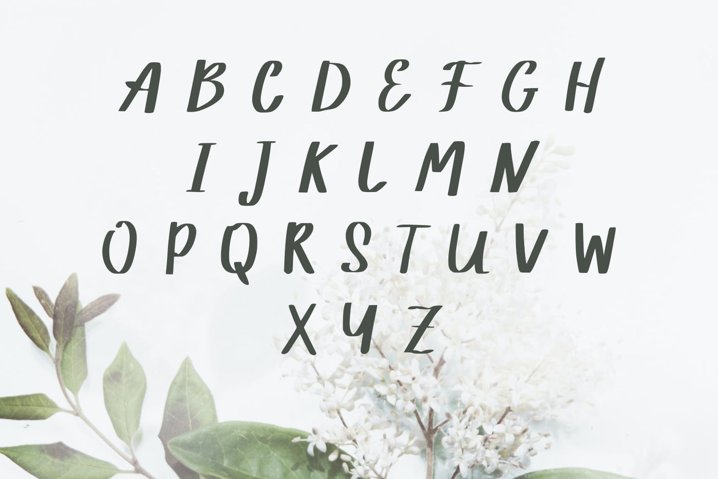 The Supermassive Bundle Of 850 Professional Fonts - Artixty