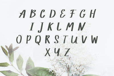 The Supermassive Bundle Of 850 Professional Fonts - Artixty