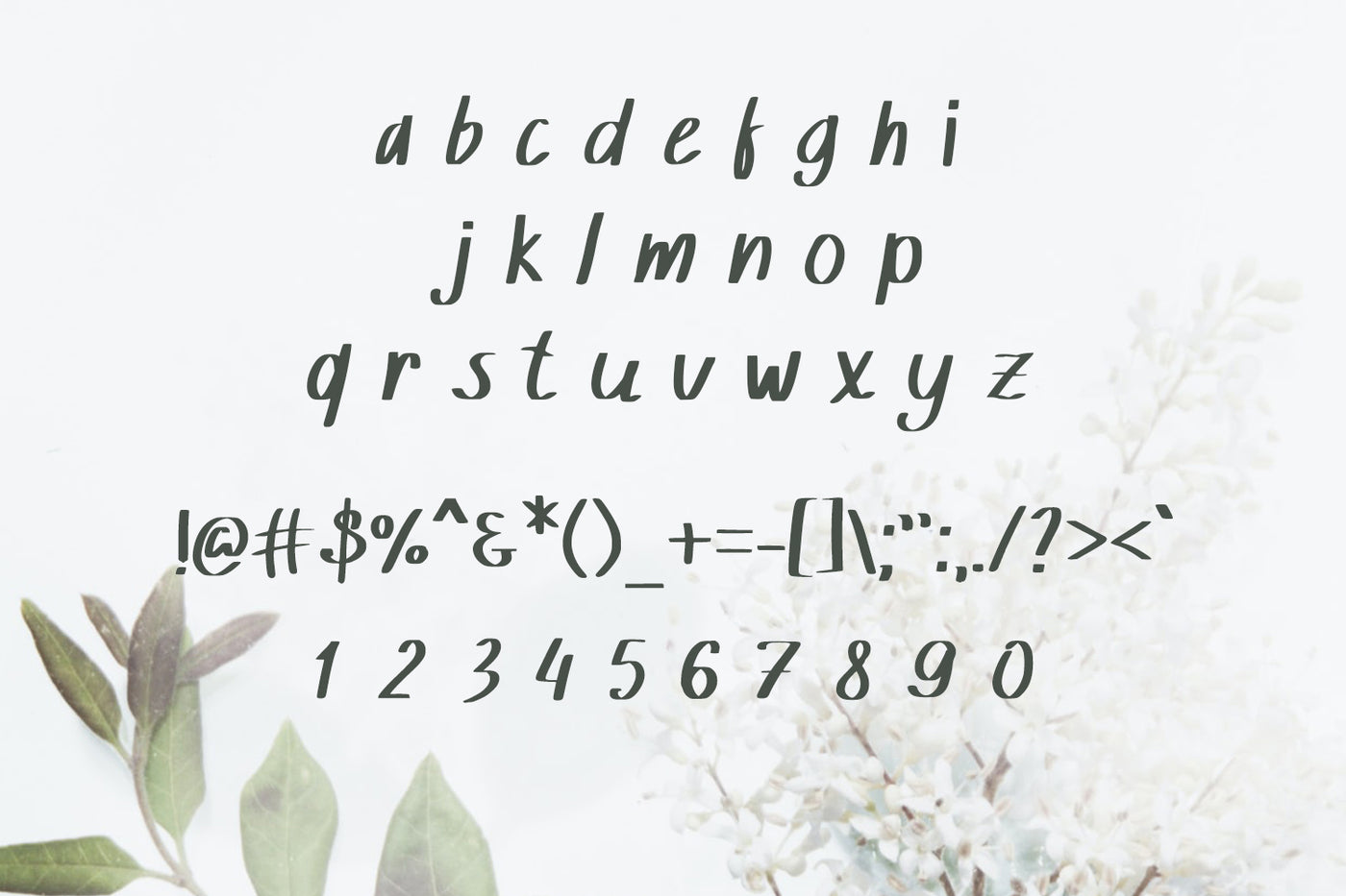 The Supermassive Bundle Of 850 Professional Fonts - Artixty