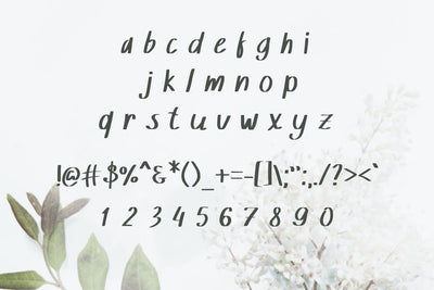 The Supermassive Bundle Of 850 Professional Fonts - Artixty