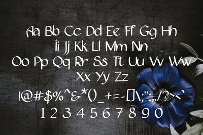 The Supermassive Bundle Of 850 Professional Fonts - Artixty