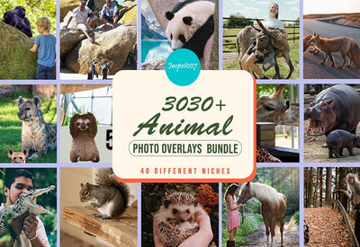 3030+ Animal Photo Overlays Bundle - Artixty