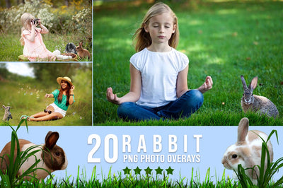 3200+ Prolific Photo Overlays Bundle-Graphics-Artixty