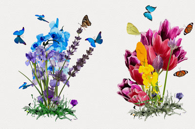 1040+ Amazing Watercolor Illustrations Bundle - Artixty