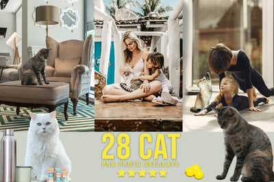 3200+ Prolific Photo Overlays Bundle-Graphics-Artixty