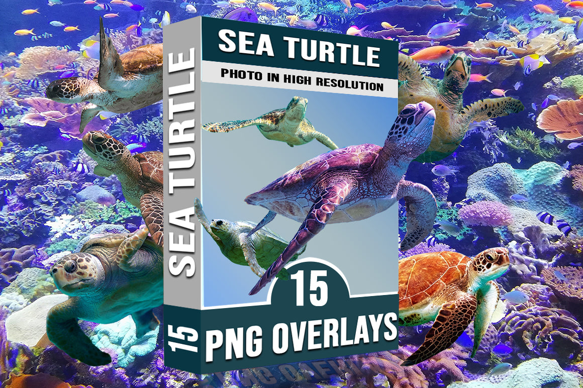 808 Sea Creatures & Fish Overlays Bundle - Artixty