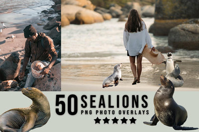 3030+ Animal Photo Overlays Bundle - Artixty