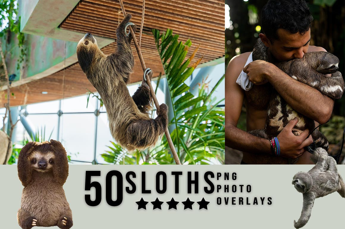 3030+ Animal Photo Overlays Bundle - Artixty