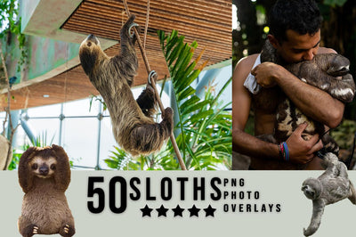 3030+ Animal Photo Overlays Bundle - Artixty