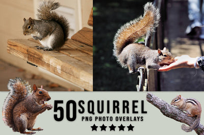3030+ Animal Photo Overlays Bundle - Artixty