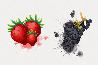 1040+ Amazing Watercolor Illustrations Bundle - Artixty