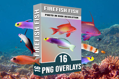 808 Sea Creatures & Fish Overlays Bundle - Artixty