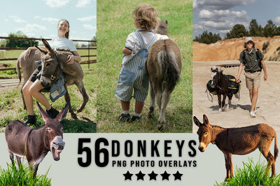 3030+ Animal Photo Overlays Bundle - Artixty