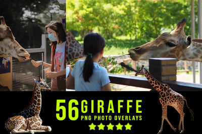 3030+ Animal Photo Overlays Bundle - Artixty