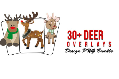 The Majestic Christmas Overlays Bundle - Artixty