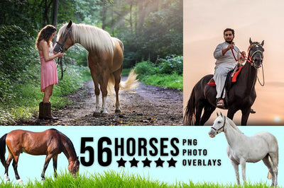 3030+ Animal Photo Overlays Bundle - Artixty