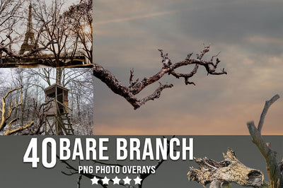 3200+ Prolific Photo Overlays Bundle-Graphics-Artixty