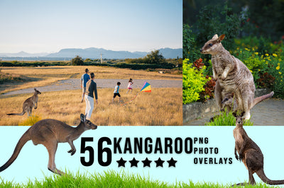 3030+ Animal Photo Overlays Bundle - Artixty