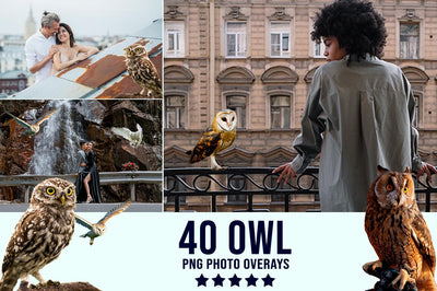 3200+ Prolific Photo Overlays Bundle-Graphics-Artixty
