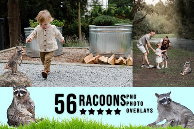 3030+ Animal Photo Overlays Bundle - Artixty