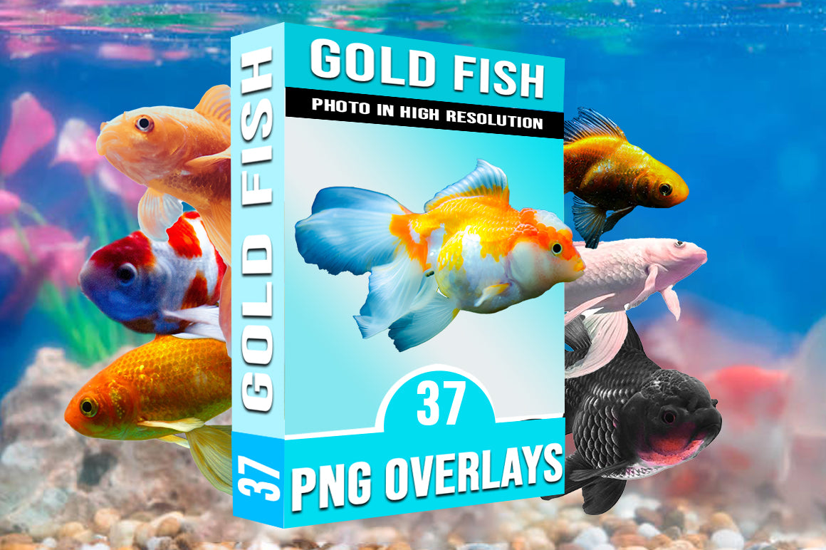 808 Sea Creatures & Fish Overlays Bundle - Artixty