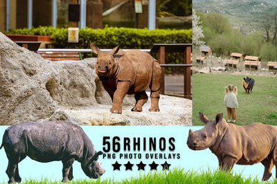 3030+ Animal Photo Overlays Bundle - Artixty
