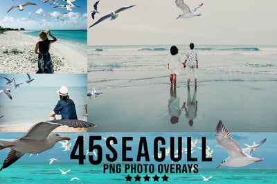 3200+ Prolific Photo Overlays Bundle-Graphics-Artixty