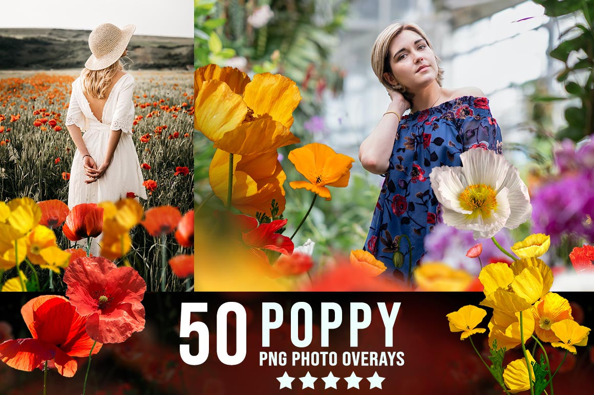 3200+ Prolific Photo Overlays Bundle-Graphics-Artixty