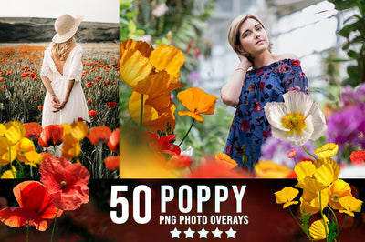 3200+ Prolific Photo Overlays Bundle-Graphics-Artixty