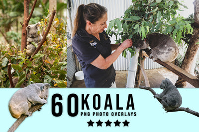 3030+ Animal Photo Overlays Bundle - Artixty