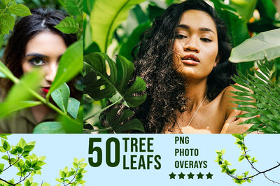 3200+ Prolific Photo Overlays Bundle-Graphics-Artixty