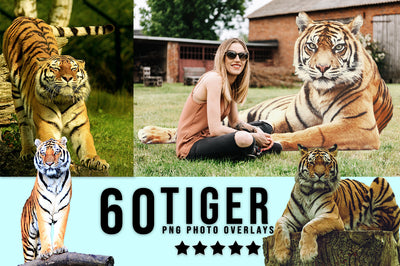 3030+ Animal Photo Overlays Bundle - Artixty