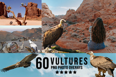 3030+ Animal Photo Overlays Bundle - Artixty