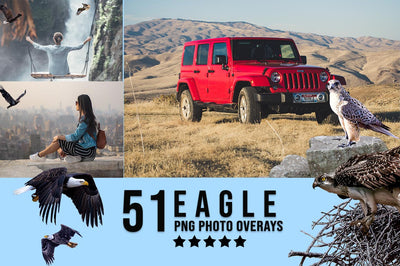 3200+ Prolific Photo Overlays Bundle-Graphics-Artixty