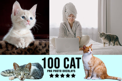 3030+ Animal Photo Overlays Bundle - Artixty