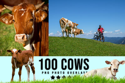 3030+ Animal Photo Overlays Bundle - Artixty