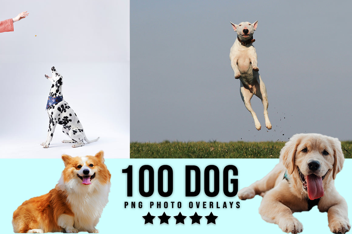 3030+ Animal Photo Overlays Bundle - Artixty